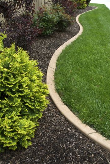 Concrete Curbing in Highlands Ranch, Colorado by C and C Landscaping LLC