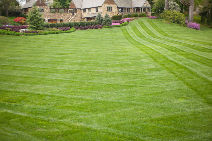 Lawn care by C and C Landscaping LLC.