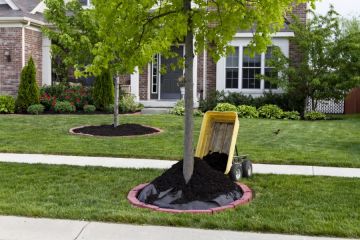 Mulching in Lone Tree Services